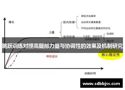 跳跃训练对提高腿部力量与协调性的效果及机制研究