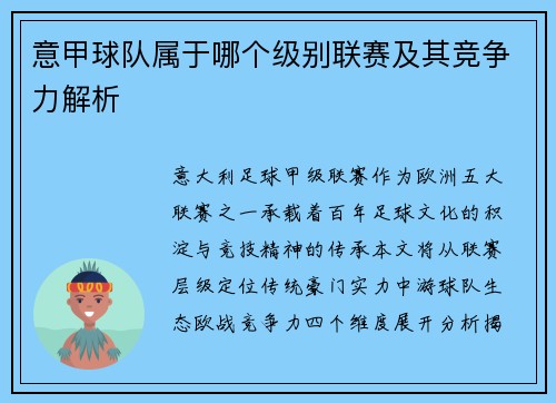 意甲球队属于哪个级别联赛及其竞争力解析